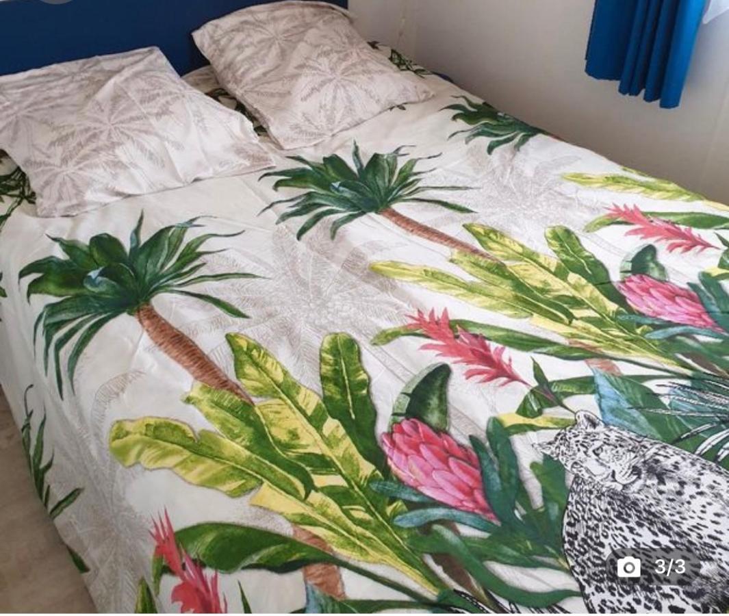 Mobilehome 3 Chambres Curistes Camping Piscine Сен-Поль-ле-Дакс Екстер'єр фото